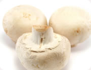 White Mushrooms (Agaricus bisporus) Button